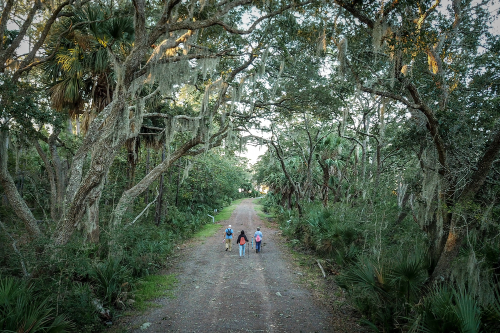 Pinckney Island Ride Trail Hilton Head SC