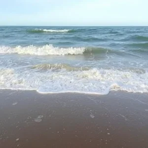 Beaufort Prepares for Spectacular King Tide Weekend